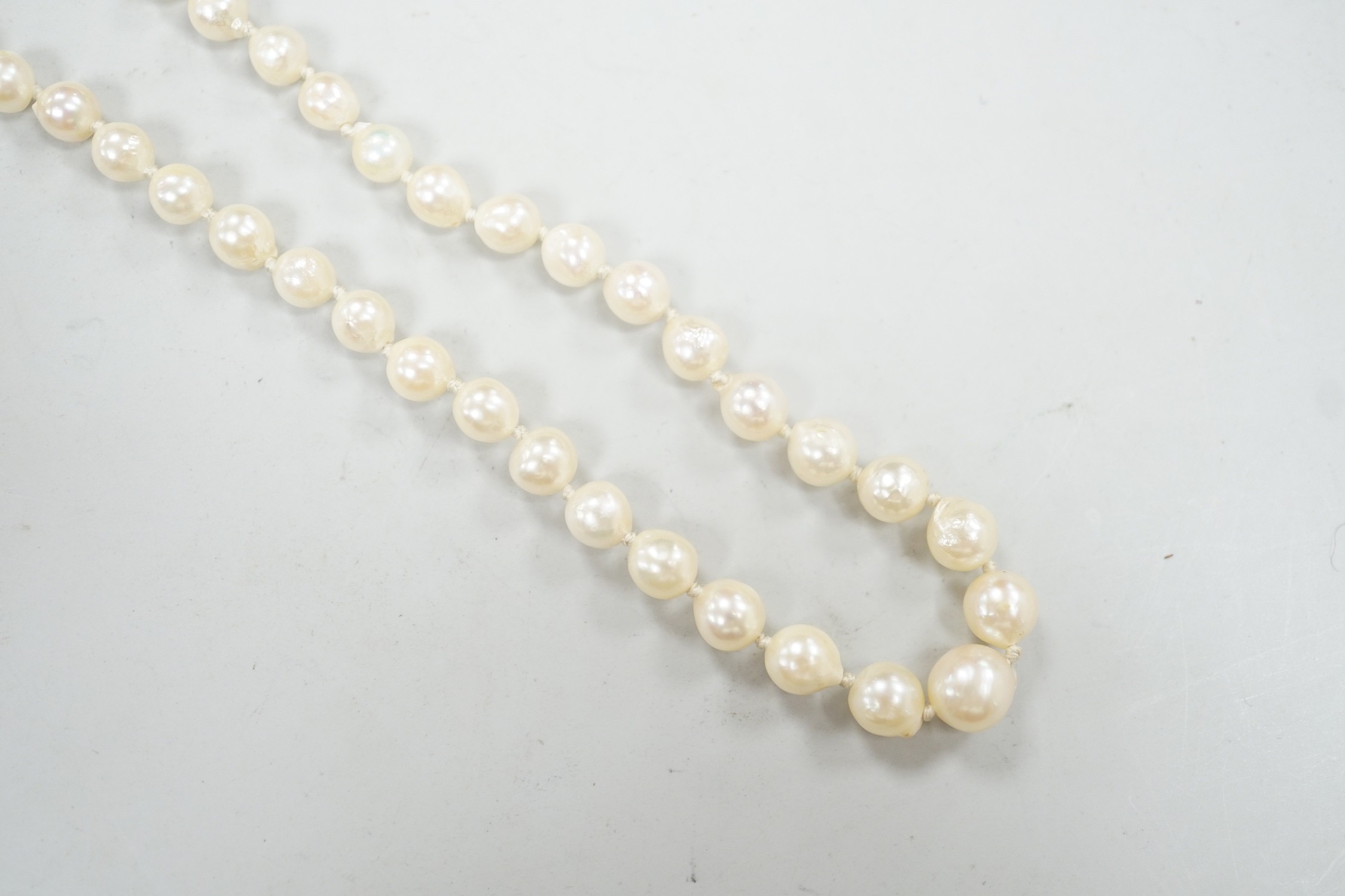 A single strand culture pearl necklace, with paste set sterling clasp, 38cm.